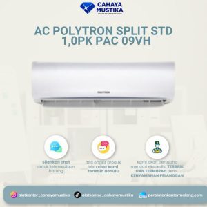 AC Polytron Split STD 1.0PK PAC 09VH